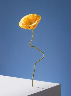 Paper Iceland poppy stem