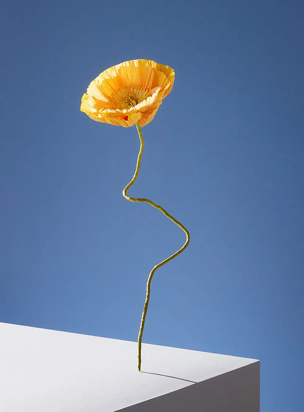 Paper Iceland poppy stem
