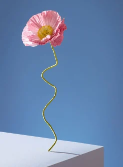 Paper Iceland poppy stem
