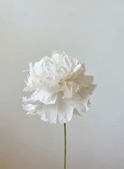 Paper peony stem