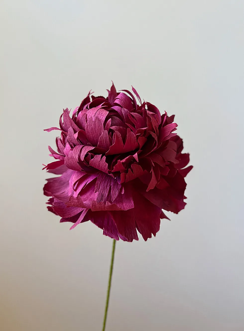 Paper peony stem