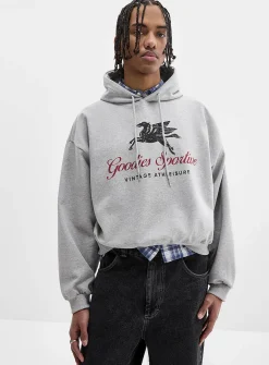 Pegasus graphic cropped hoodie
