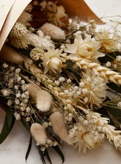Peter dried plants bouquet