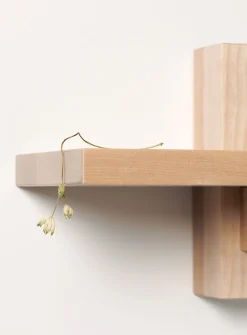 Piloti single shelf