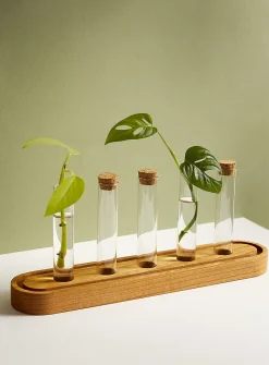 Plant propagation station