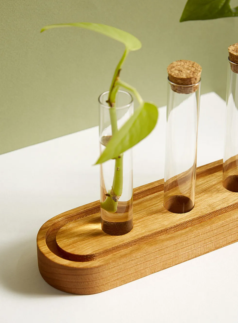 Plant propagation station