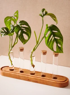Plant propagation station