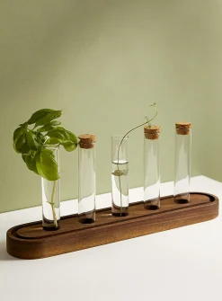 Plant propagation station