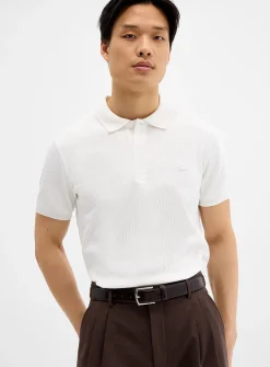 Ribbed block polo