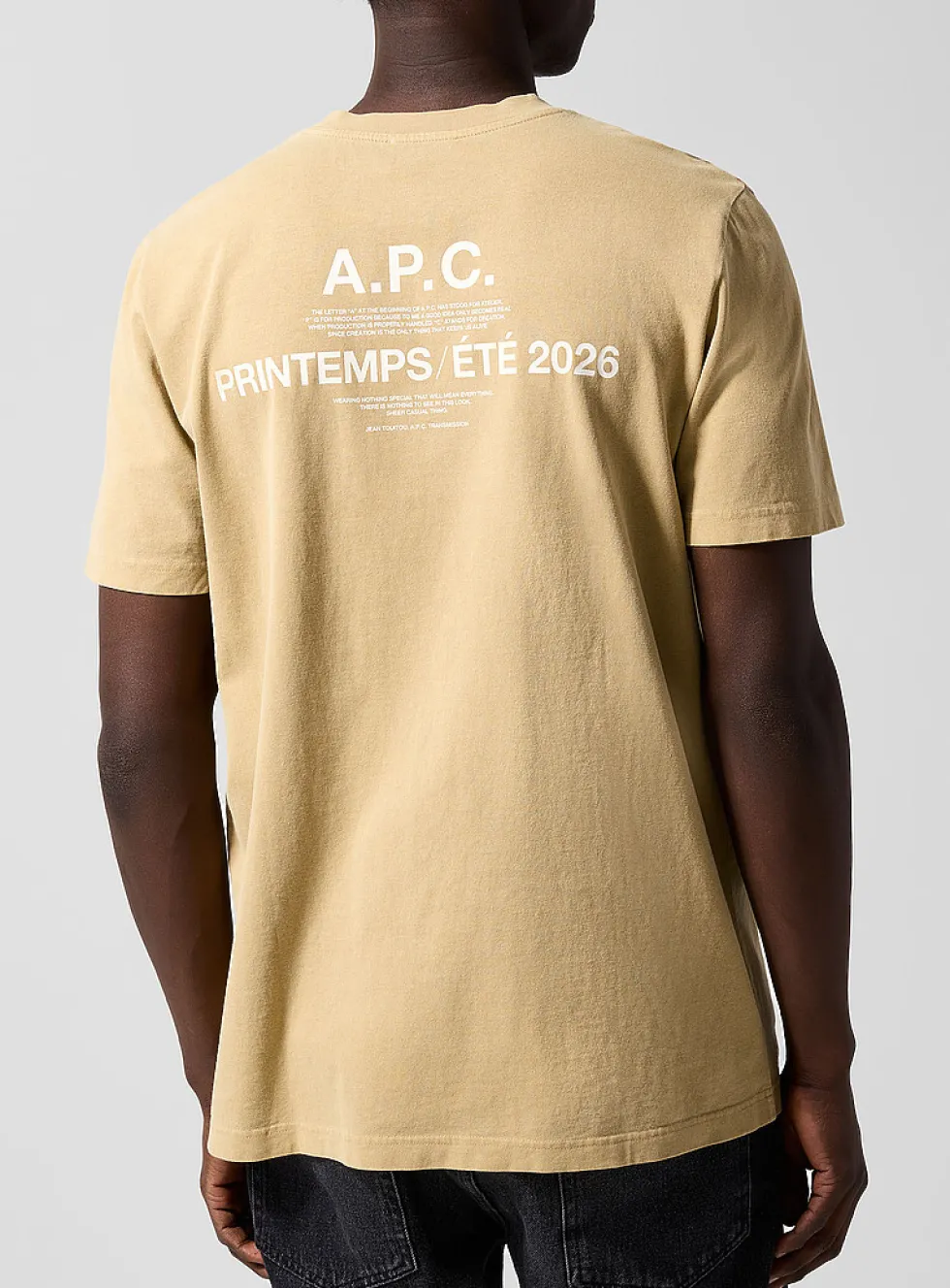 Seasonal beige logo T-shirt