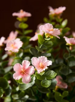 Small colourful flowers artificial plant