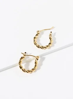 Small golden hoops