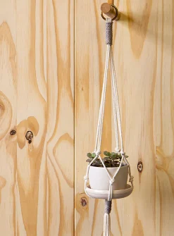 Small hanging plant set