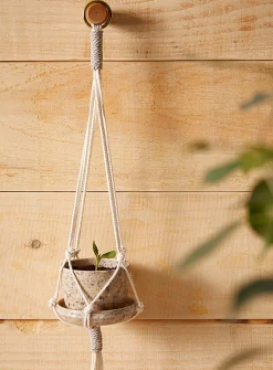 Small hanging plant set