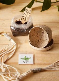 Small hanging plant set