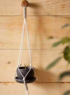 Small hanging plant set