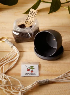 Small hanging plant set