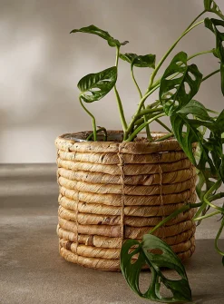 Small twisted water hyacinth planter