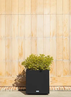 Small urban cubic planter