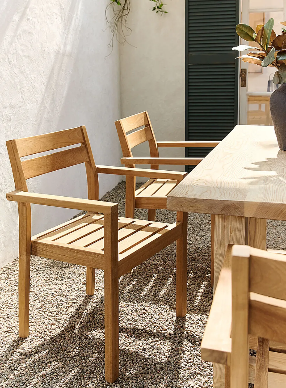 Stellar teak wood chair