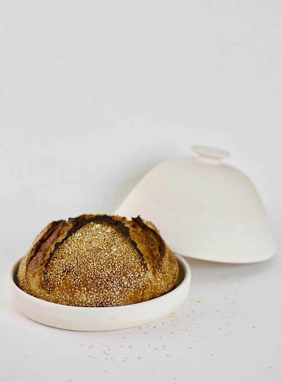 Stoneware dutch oven