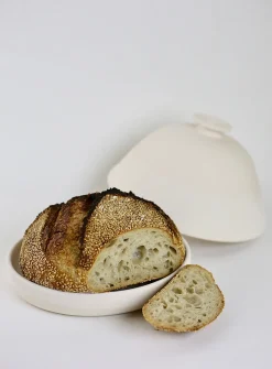 Stoneware dutch oven
