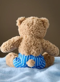 Swimsuit teddy bear
