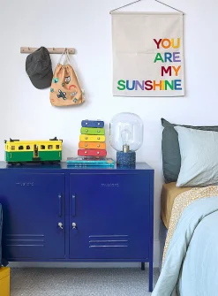 The Lowdown metallic storage cabinet
