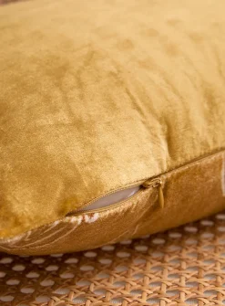 Tiger soft velvet removable-cover cushion