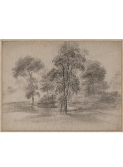 Trees art print