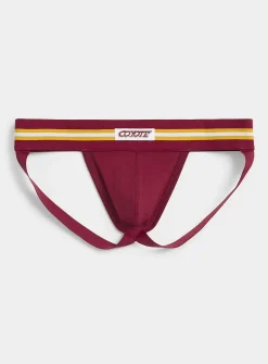 Varsity stripe jockstrap