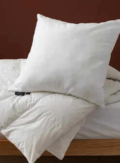 Évolution Euro pillow