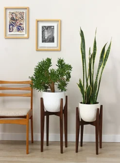 Walnut plant stand