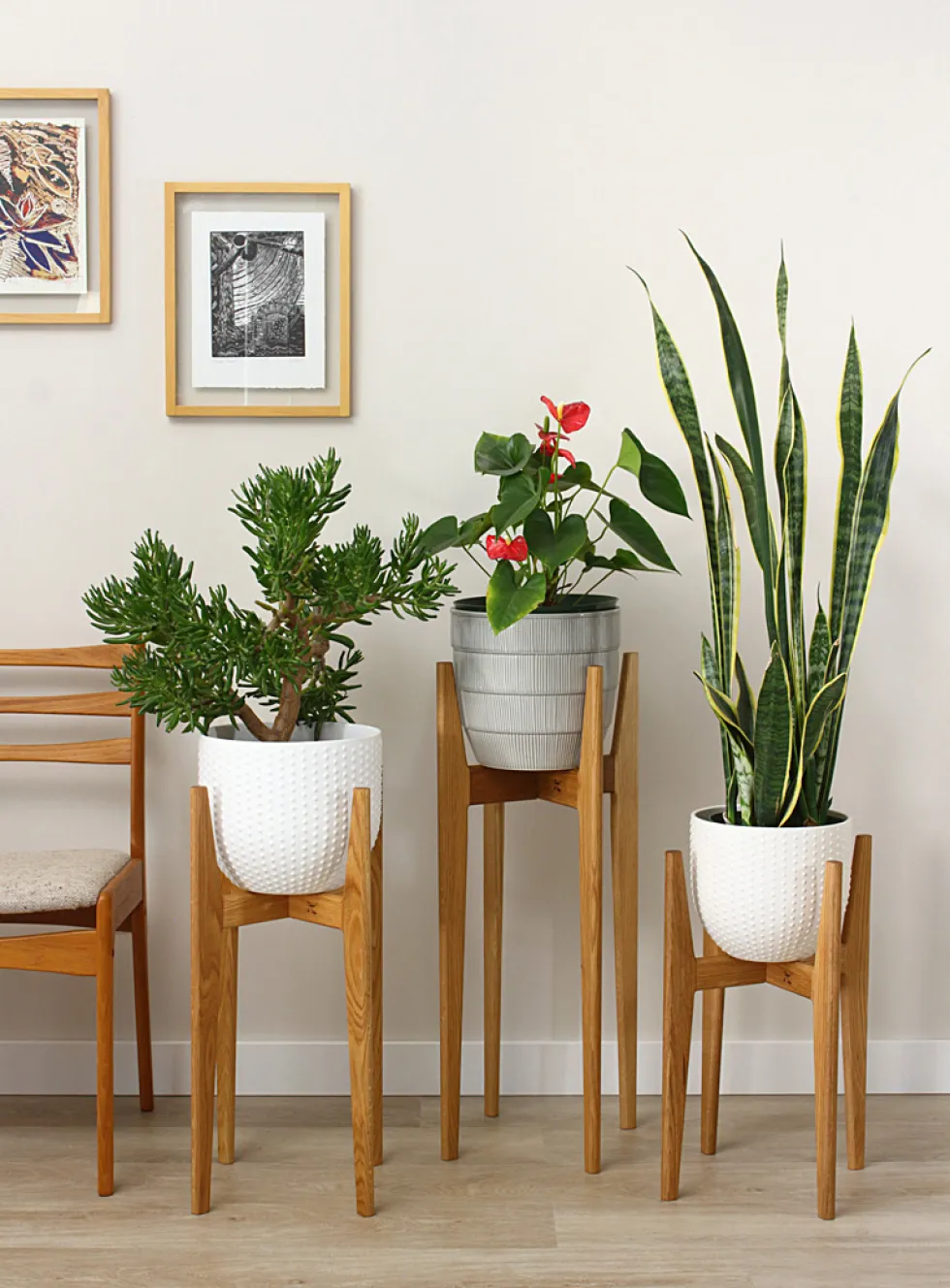 White oak plant stand