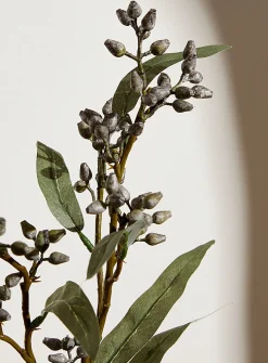 Wild blueberries branch