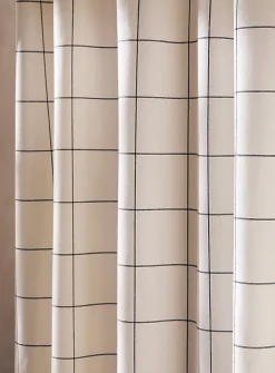 Windowpane checks shower curtain