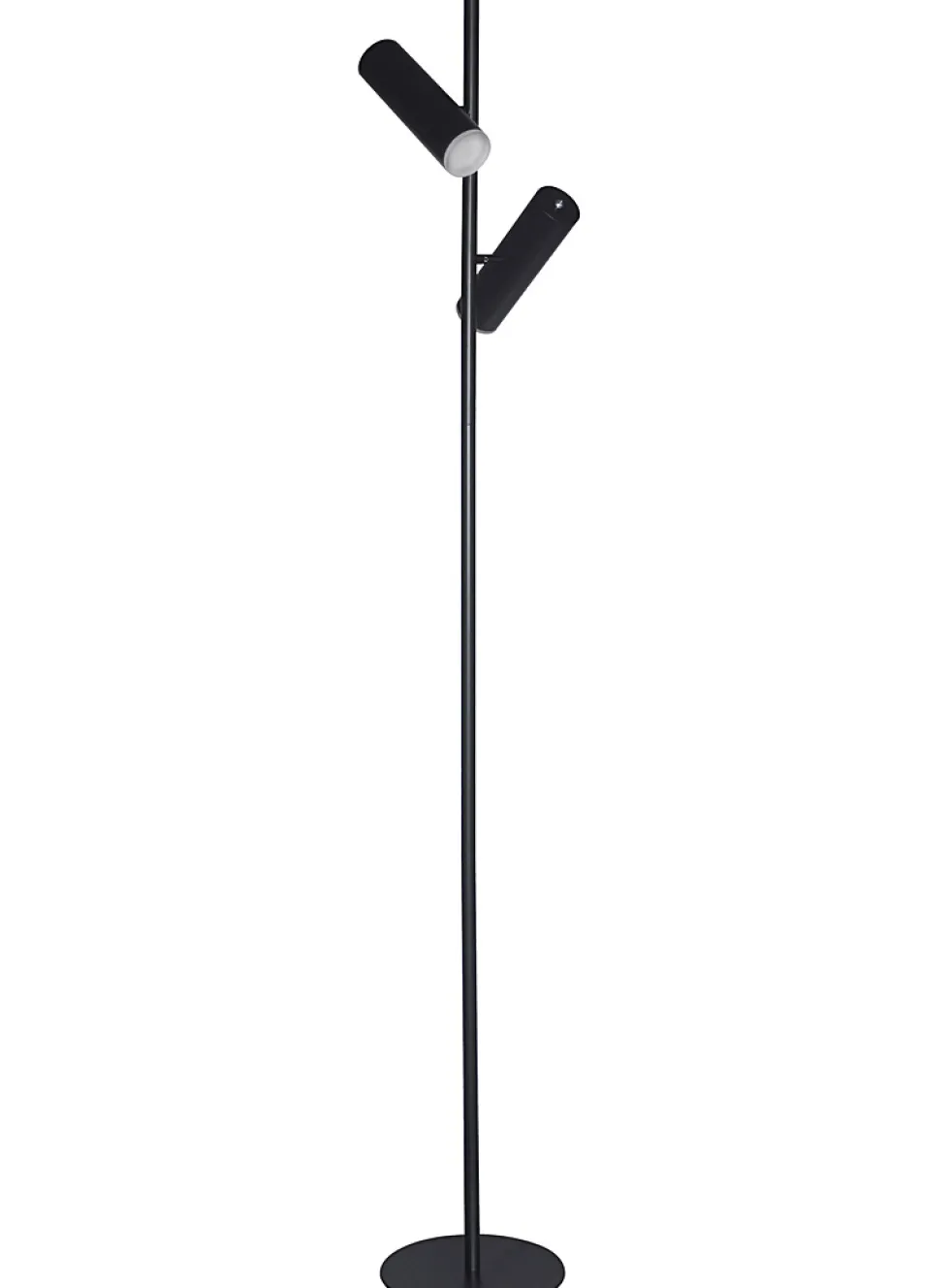 Black double head projection floor lamp