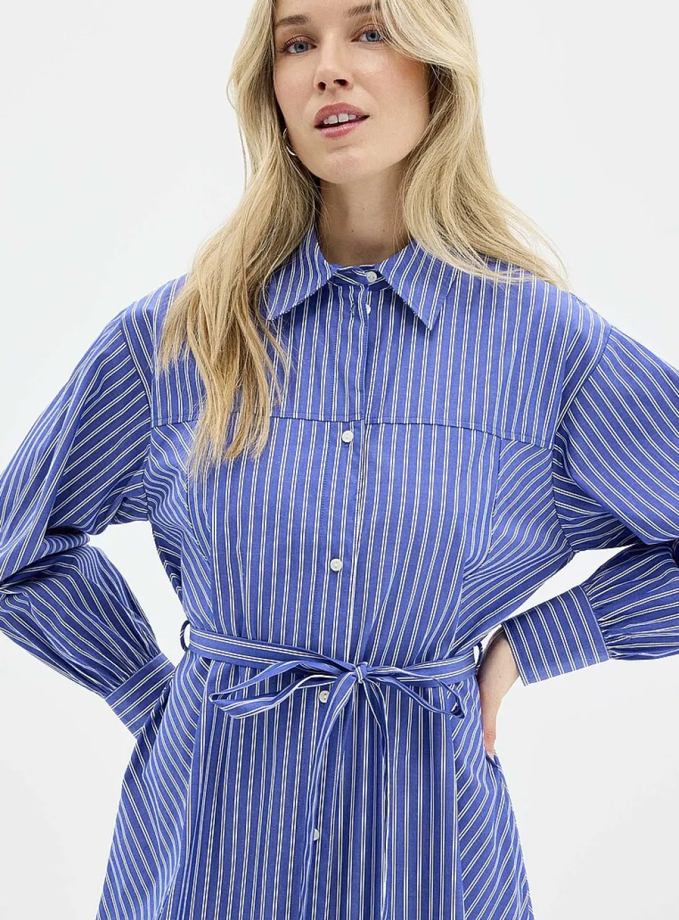 Calken striped chambray shirtdress