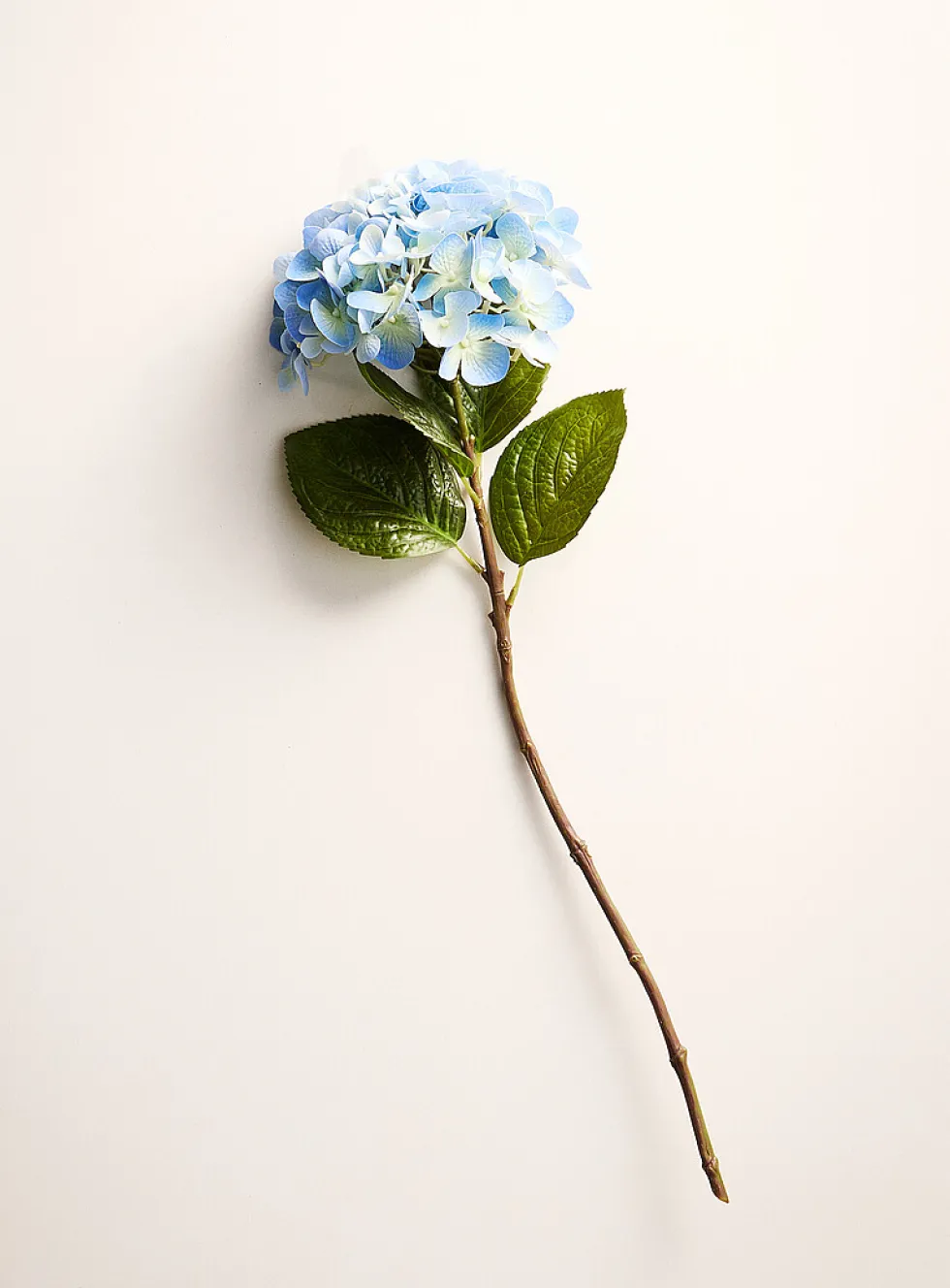 Colourful artificial hydrangea branch