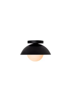 Danoise interior and exterior matte black light fixture