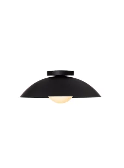 Danoise interior and exterior matte black light fixture