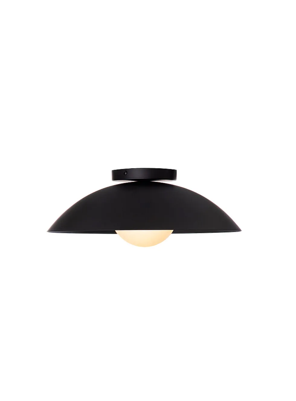 Danoise interior and exterior matte black light fixture