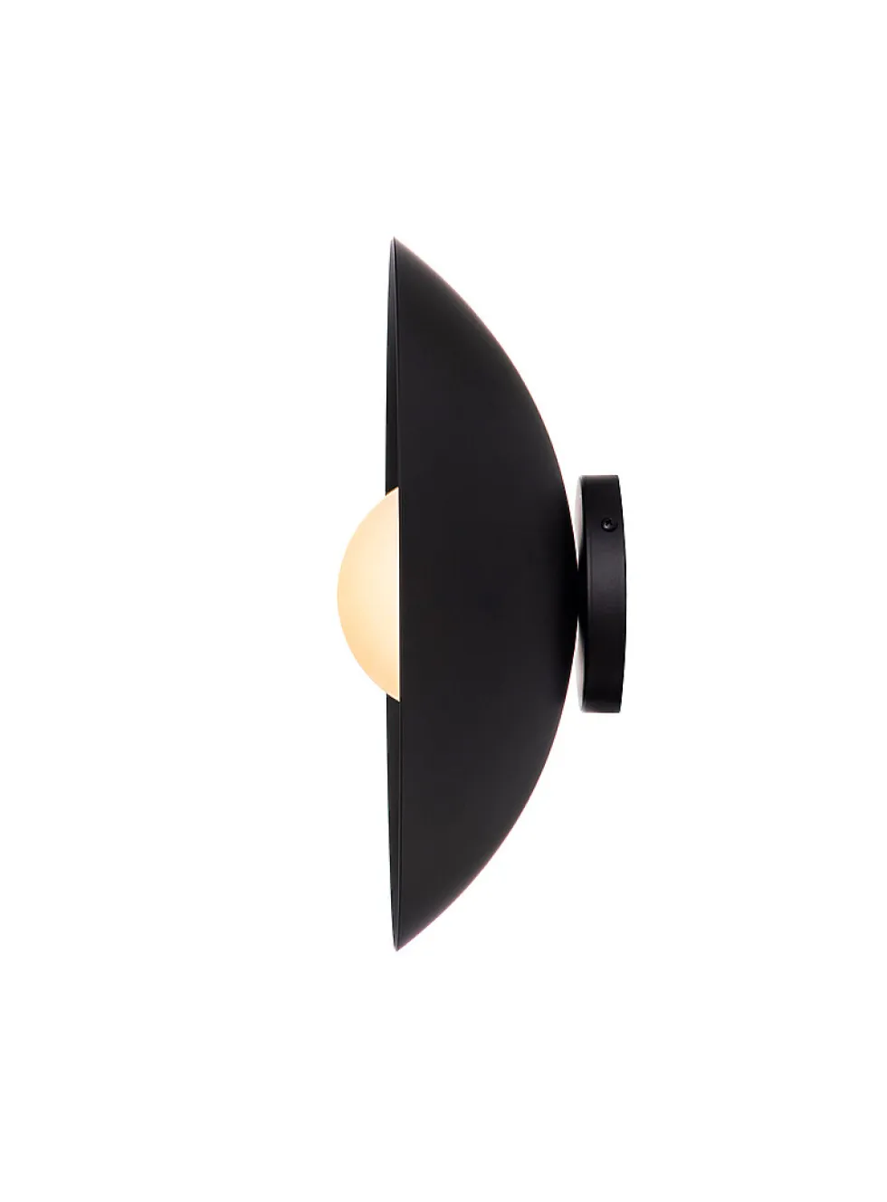 Danoise interior and exterior matte black light fixture