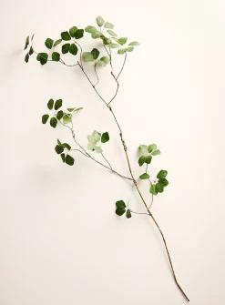Delicate foliage artificial branch