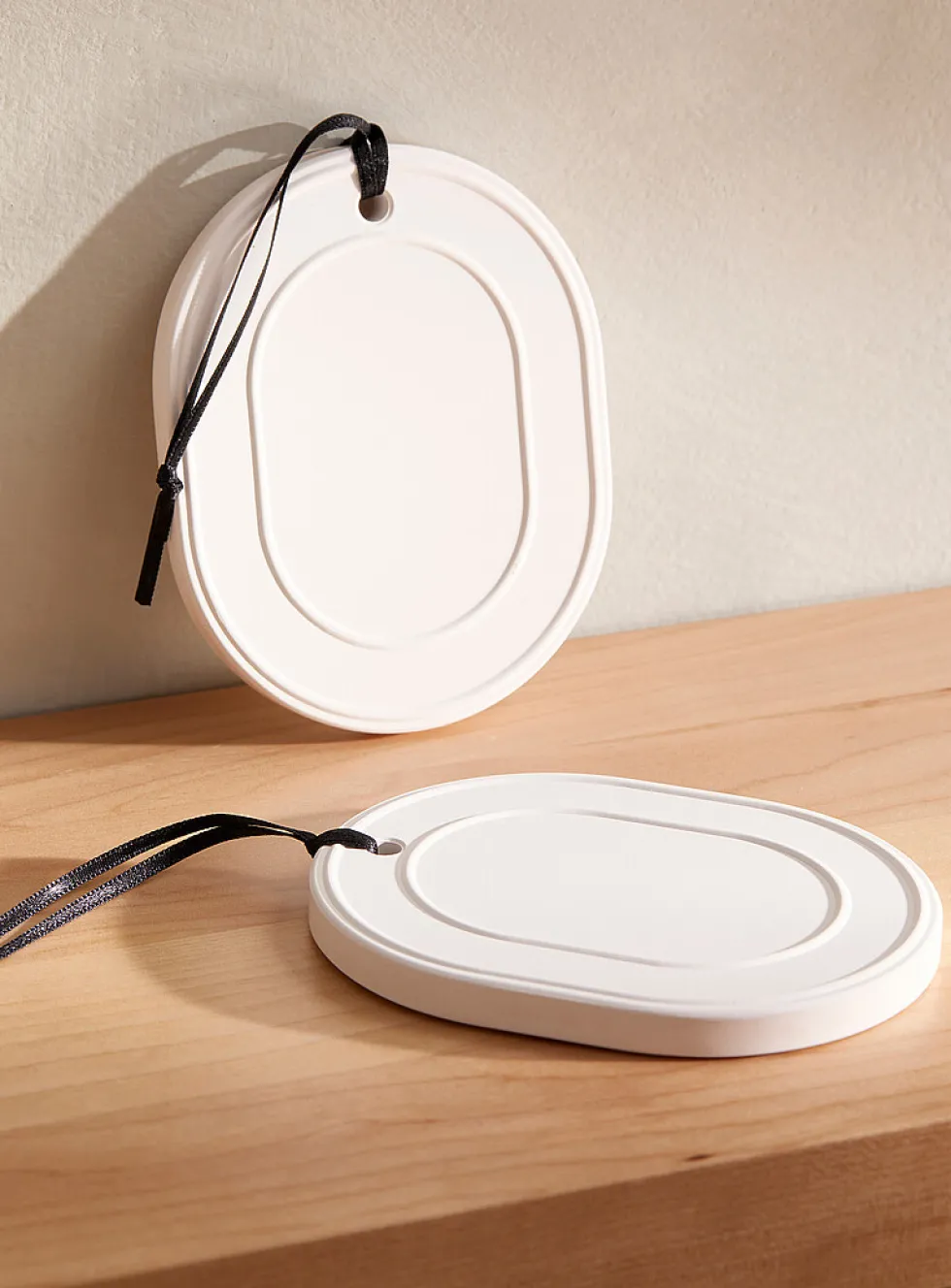Diatomite closet deodorizers