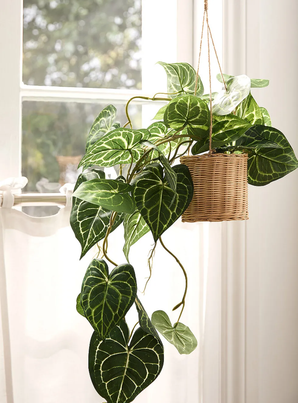 Hanging artificial pothos climbing plant