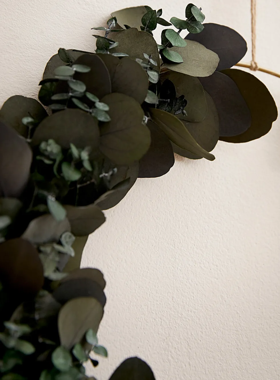 Julia dried eucalyptus wreath