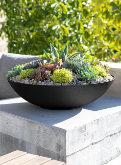 Lane enlarged planter