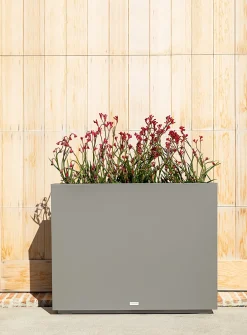 Large rectangular planter