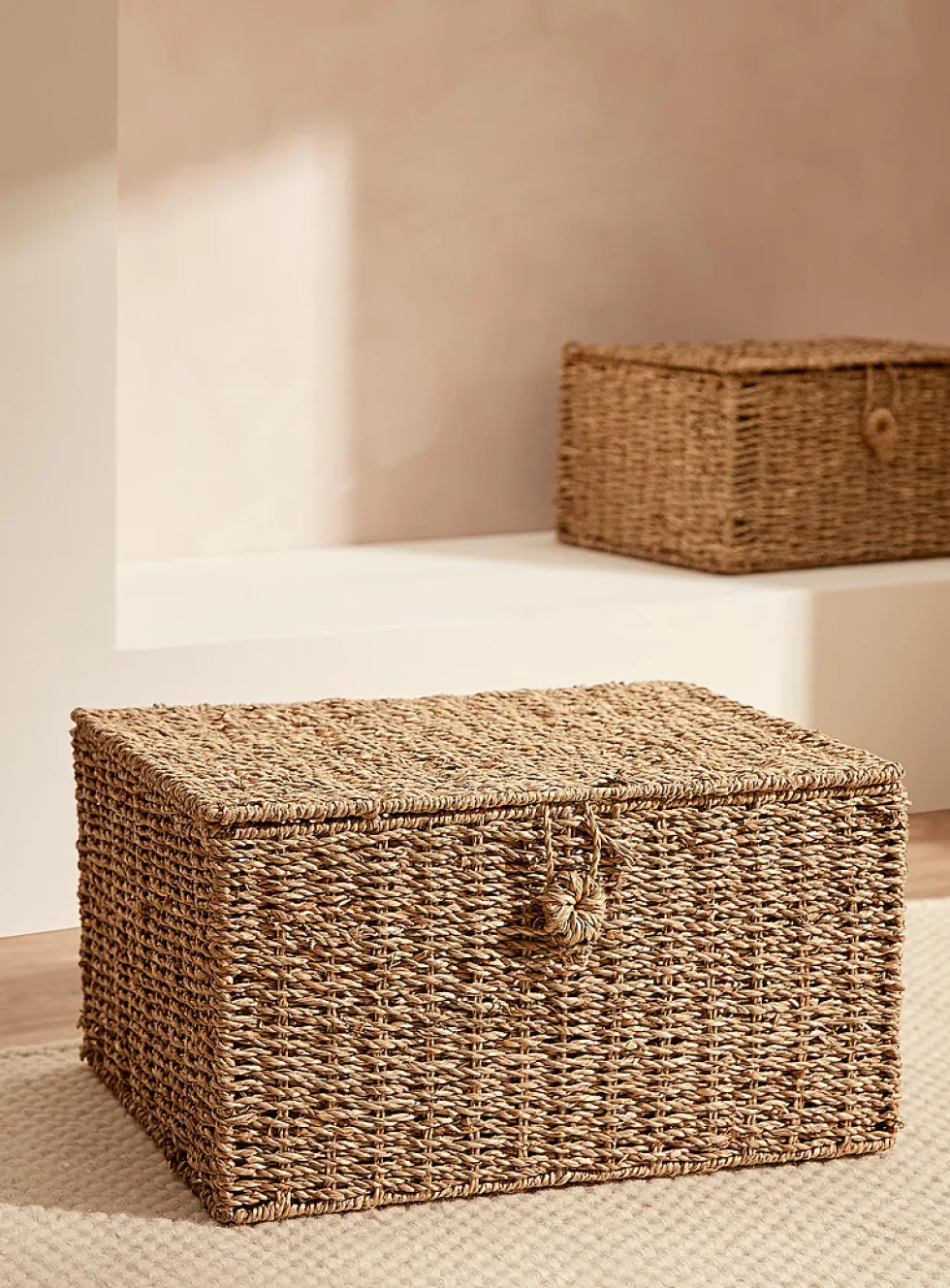 Large seagrass storage box